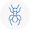 Ant Removals In Sw4
