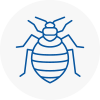 Bed Bug Extermination In Sw4
