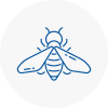 Bee Nest Removal Sw4