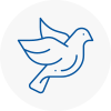Bird Prevention Sw4