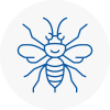 Sw4 Hornet Nest Removals
