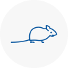 Mice Exterminators In Sw4