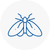 Moth Control Specialists In Sw4