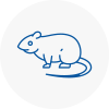 Rat Control Sw4