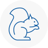 Sw4 Rodent Removals