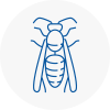 Sw4 Wasp Nest Removal
